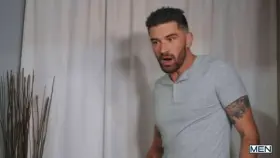 Homo Renovation Part 2