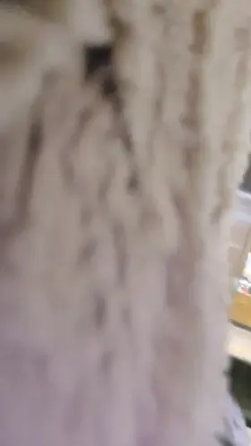 Wait for it... [GIF] [F] [OC]