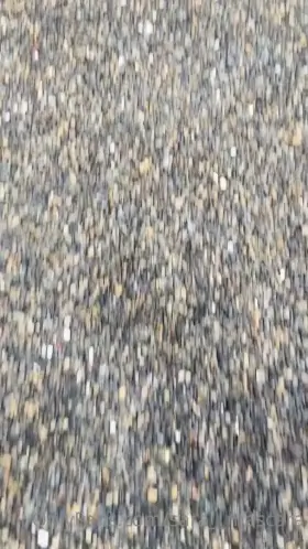 GET THE CONTENT IN COMMENTS