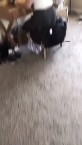 I should be studying for finals right now, but here's a TikTok I made instead