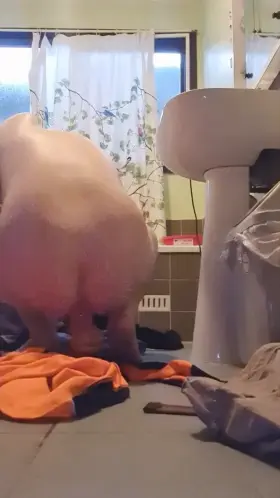 Anyone want to give me tasks before work?