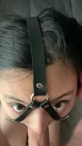 New toy for me to be a better toy