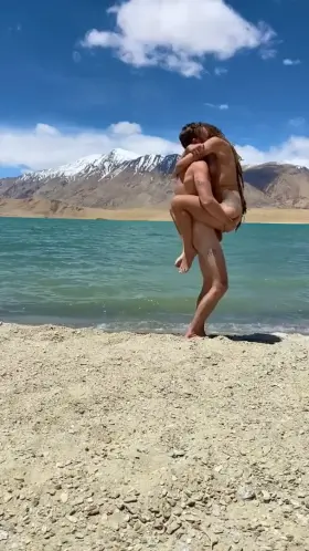 Wild animals [video]