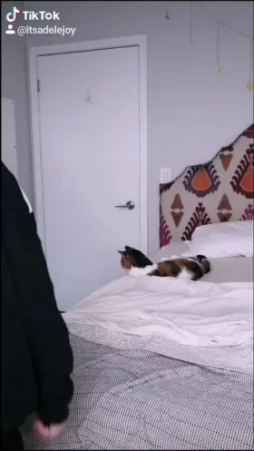 Would you buy a bed that magically gets any girl naked hihi? 😋💦💕