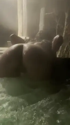 Check to see if I’m warmer than the water