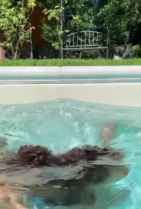 Can someone take care of this ass please? [F]