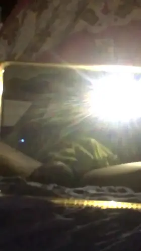 I need some good girls