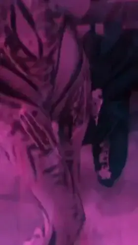 What would you do if you saw me at a rave?