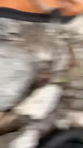 Nothin like a rimjob in nature