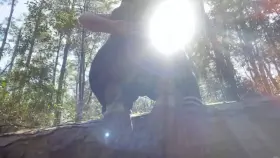 Sunshine is good for the soul ☀️