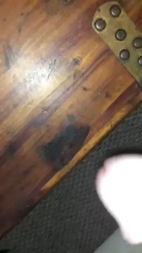 Can i lick it off your tits? (M37)