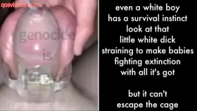 BBC Caption Chastity Cuckold Cumshot Hardcore Humiliation Vibrator Porn GIF by qosvideos