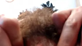 Right above your face