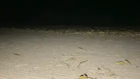 Was on a street and thought I was alone and just as I was ready to take off the 1 piece of clothing covering my naked body, a man on a bike passed me, telling me “sorry, my light went out.”