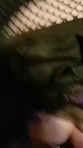 Hi! to the 12 people that will see this lol!