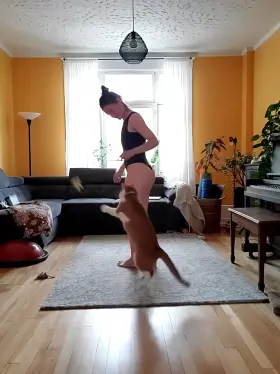 Playing with Claude 🐱