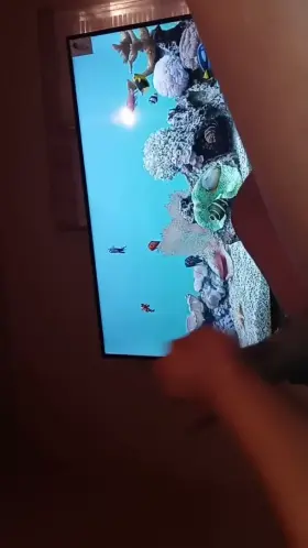 My First Live Trib😁Im Back Tribbing. Request?