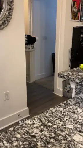 Your big tiddy goth gf takes your huge load