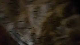 First Time Posting Here. Hope You All Enjoy