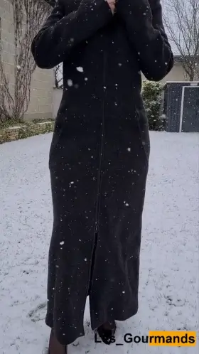 [OC] [F]rench snow day