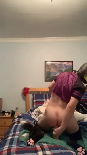 Fempup just passing the time with a bone