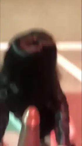 Your girlfriend is out in the parking lot with your BBC wo-worker