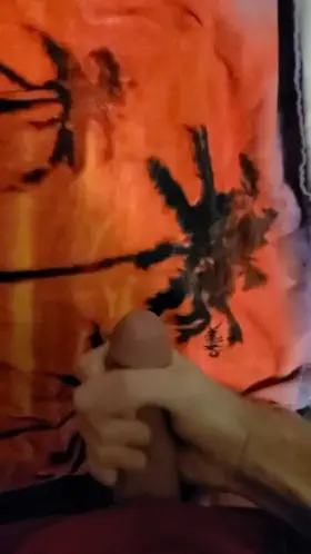 Need a lady friend to share with..think I counted 7?