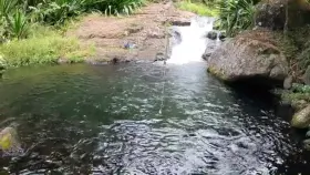 If you came to a swimming whole and found this what would you do?