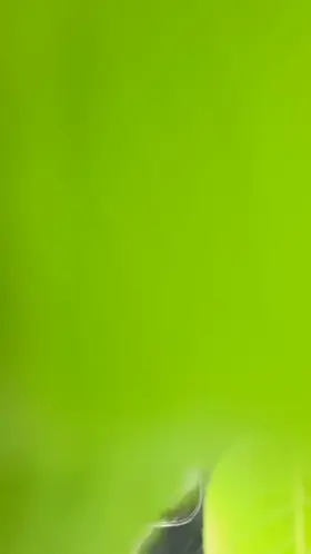 Let's play in nature