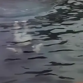 Lydie Denier & Leslie Huntly - Satan's Princess (1989)