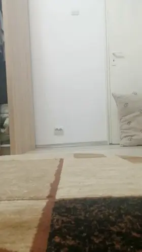 Woke up horny in the middle of the night