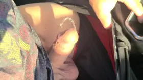 Driving a long trip, had to pee ...