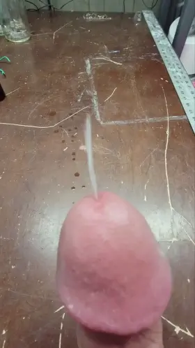 I(M) [35] but can still flood your pussy