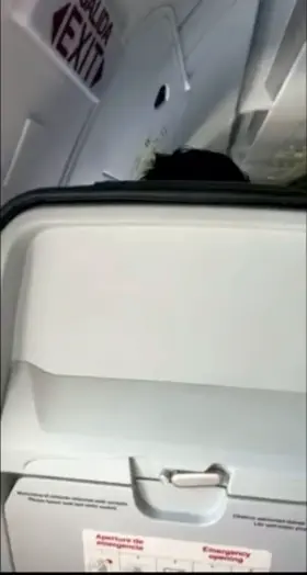 [GIF] Preparing my boobies for landing