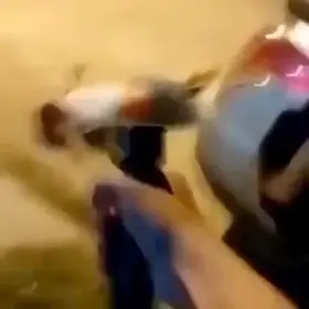 Like they're trying to tear off his head