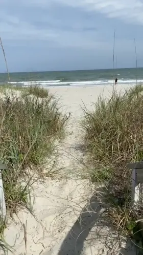 Just a horny girl, flashing her pussy at the beach [GIF]