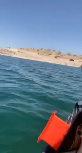 Who wants to go to a nude beach with me?