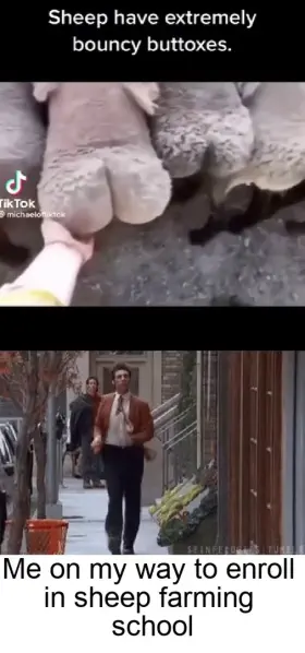 are you proud of me yet mom and dad?!