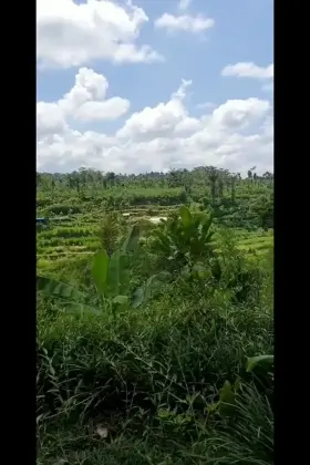 Getting wild in an outdoor shower in Paradise💦😋