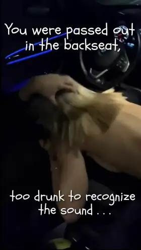 After I over did it at a party my friend drove us home, I was so drunk I couldn’t even hear my girlfriend gagging on his 9.5 inch dick
