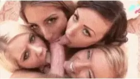 You dreamed about a harem