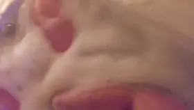 Bubbles + tits is always a fun night