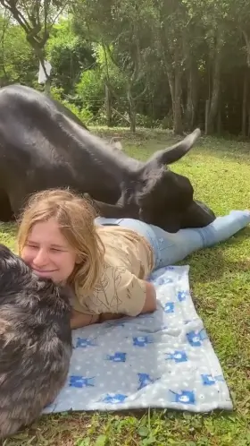 Cow begins to attempt a berserk reference (ft. possessed dog as well)