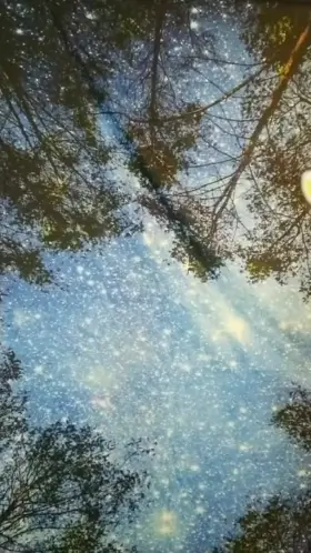 What the fox? It is midsummer.