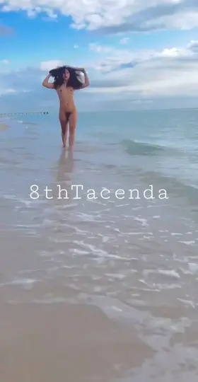 The artist brush ✨