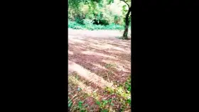 he came on my face in the forest [00:37] [CONSENTING COUPLE]