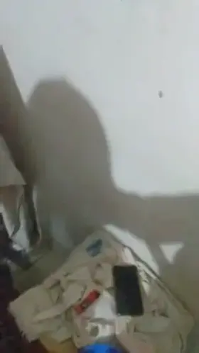 Here's a gift for Hyderabad ;) New in city. Looking for girls and maybe couples ;) Straight and stoner.