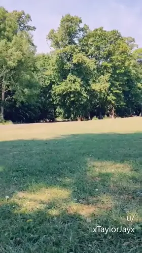 Guys at the park kept looking over whilst I was chilling in my micro bikini, so I decided to try and have a subtle play