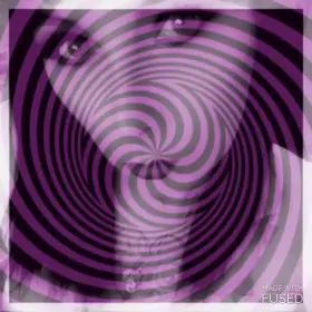 Let me take you on a journey down the rabbit hole