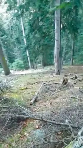 We felt a little risky during our hike😜 [m] [f]